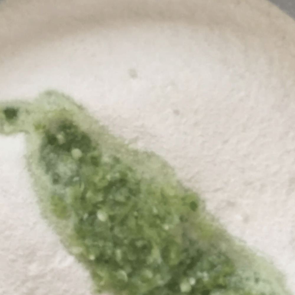 VideoToPhoto 636820338929127006.png