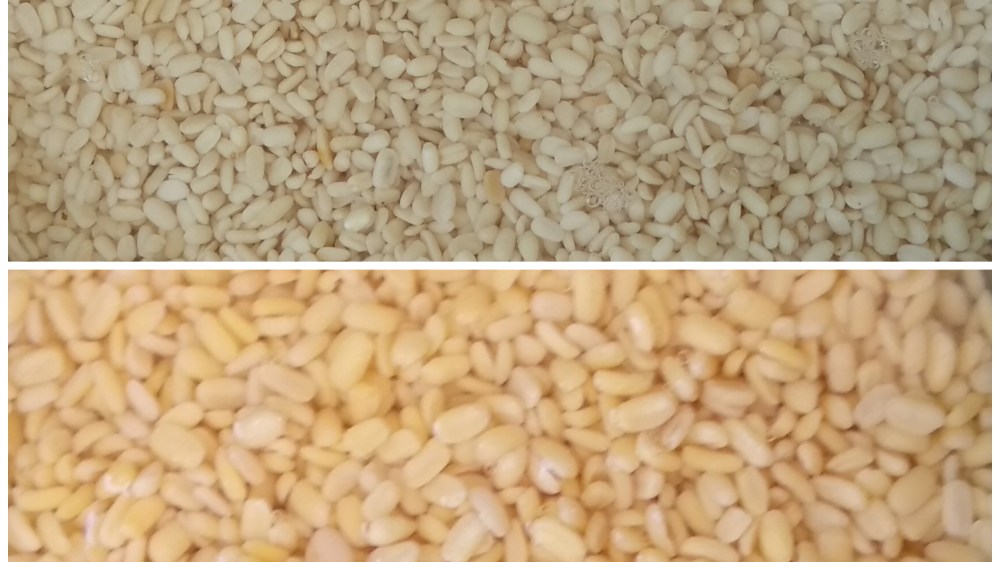 pixlr_20190102231859119